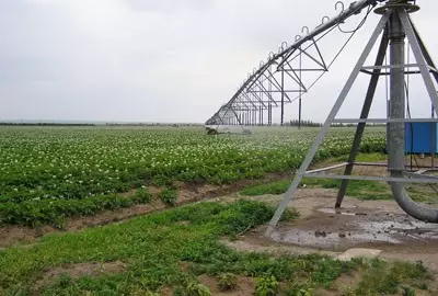 農(nóng)業(yè)水泵